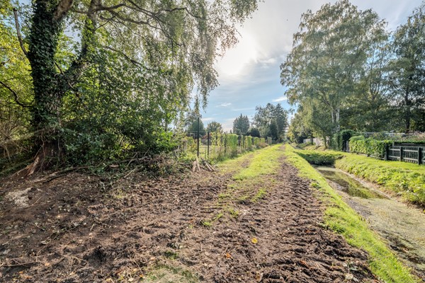Medium property photo - Zuiderdiep 481, 9521 AN Nieuw-Buinen